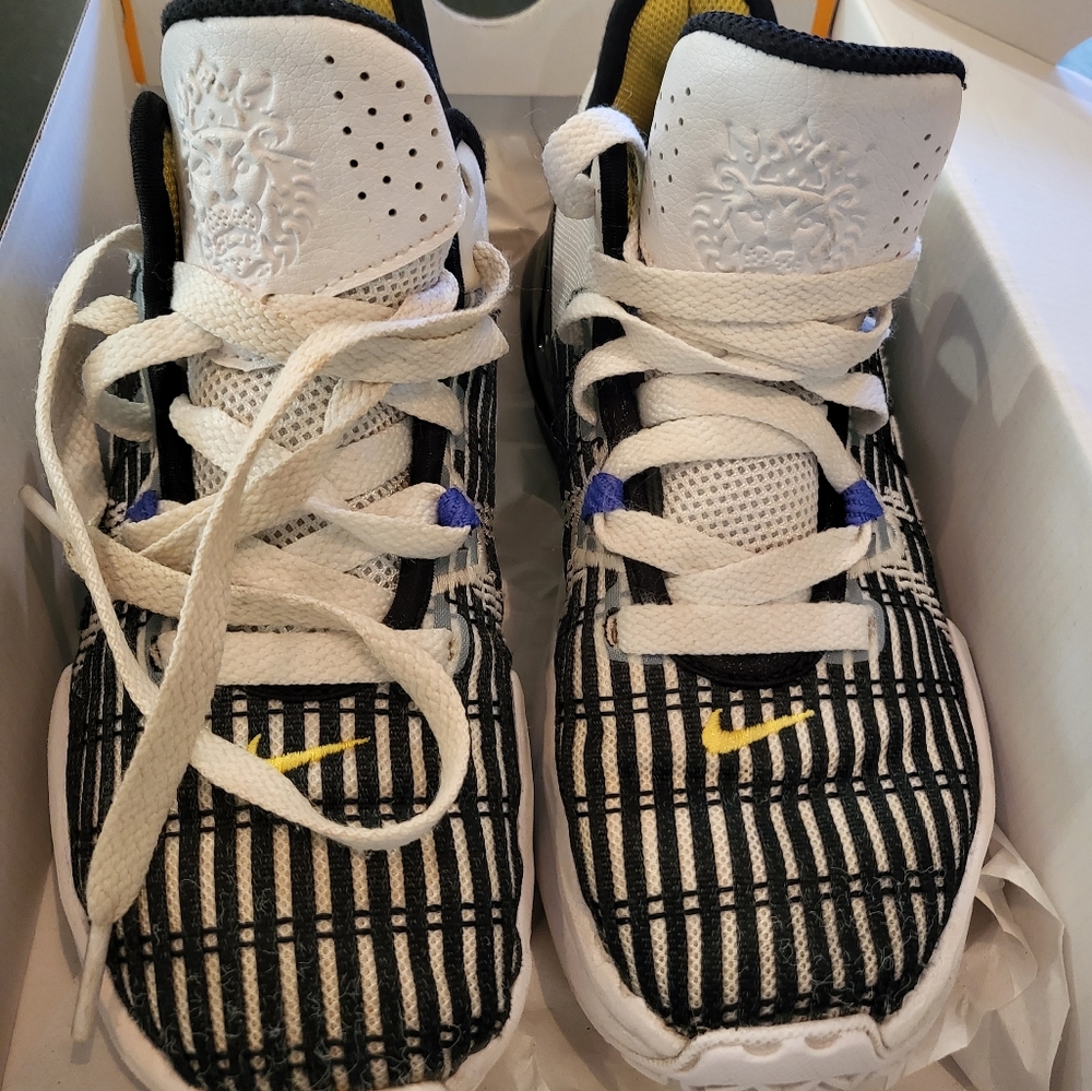 Nike Lebron Witness VI, white, black, violet, size 3.5